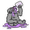 Gorilla Drinking Squash