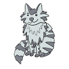 Maine Coon Cat