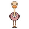 Ostrich Bird