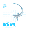 Thresher Shark Datasheet