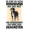 Schönster Sennenhund Schweizer Sennenhund