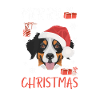 Bouvier bernois Noël
