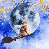 Cat wizard