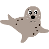 seal seals seal seals animals