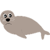 phoques phoques phoques animaux