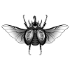 Mandala Beetle Imprimer