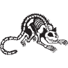 cool cat skeleton