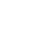 Drone Pilot