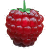 Raspberry