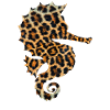 Seepferdchen Leopard Print