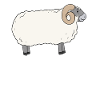 Mouton écossais Blackface