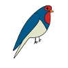 Swallow Bird