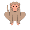 Macaque Monkey