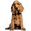 Cocker Spaniel Pet Design