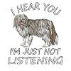 Bearded Collie
