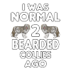 Bearded Collie
