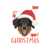 Hovawart Christmas