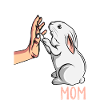 Rabbit Mama Rabbit Gift