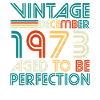 Né en décembre 1973 Retro