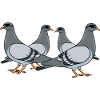 Pigeon Squad Pigeon Fancier Saying