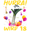 Hurra der Lauch wird 18