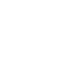 Christian Faith Fish