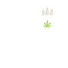 Cannabis