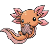 Axolotl Salamander