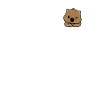 Wombat