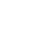 Roller coaster
