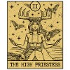 Tarot Card Aesthetic The High Priestess Occult