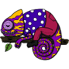 Chameleon relaxed chilling