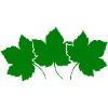 leaves