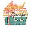 Palmiers Décembre 1977 Légende