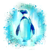 pinguin,blau,malerei,bunt,aquarell,graffiti