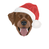 Labrador Christmas