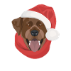 Labrador Christmas