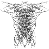 aaxoo 7 2