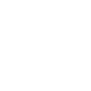 Special Edition
