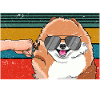 Best Pomeranian Dad Ever