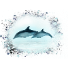 dolphin, graffiti, painting,blue,fish, dolphins,sea