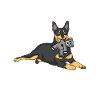Australian Kelpie Stofftier
