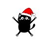 Cat with Christmas hat