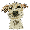 Terrier