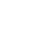 Accordéoniste