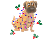 Chien joyeux