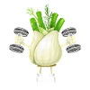 Vegan Vegan Bodybuilding Fennel