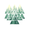 Forêt