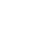 Elephant Animal