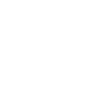 Gorilla Animal